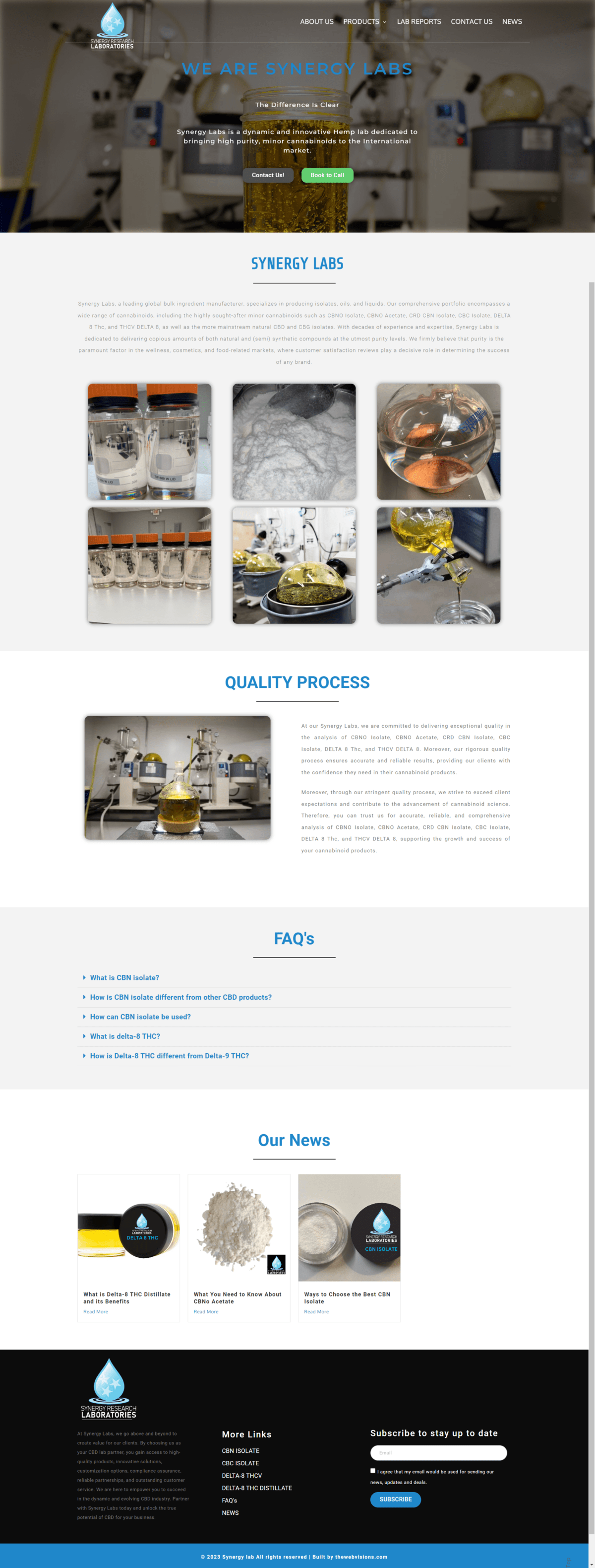 Our Portfolio - The Web Visions